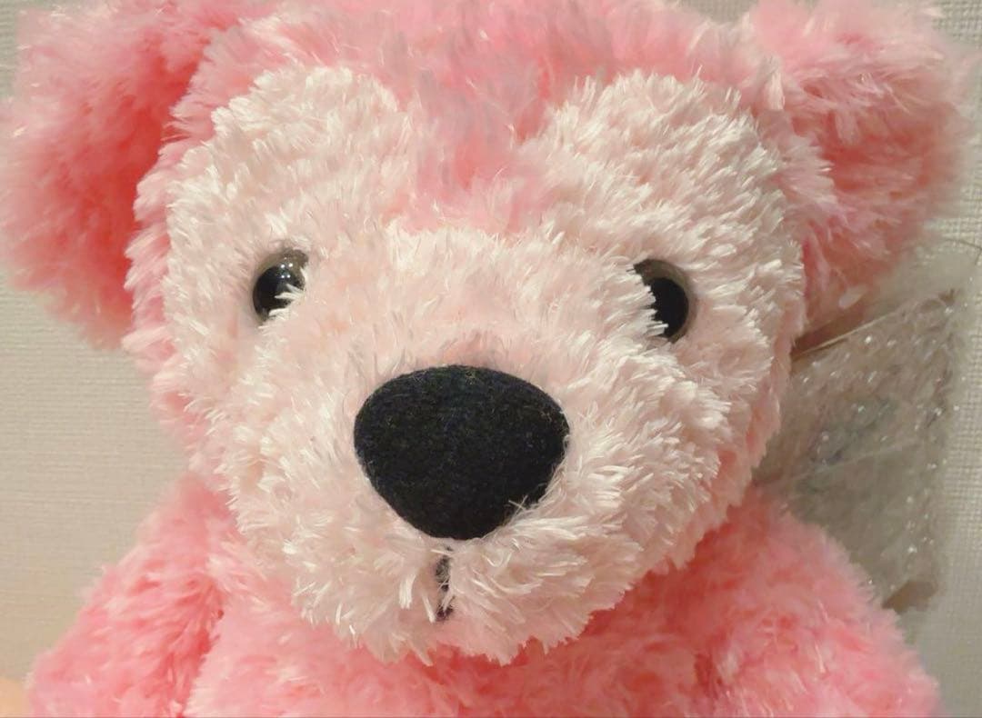 WDW ダッフィー ディズニーベア カラーダッフィー ピンク