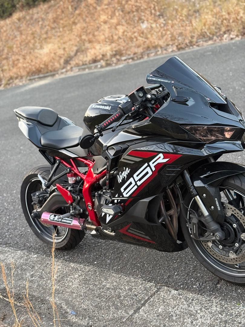 ASAHINA RACING アサヒナレーシング フルチタンEX GPフォーミュラ