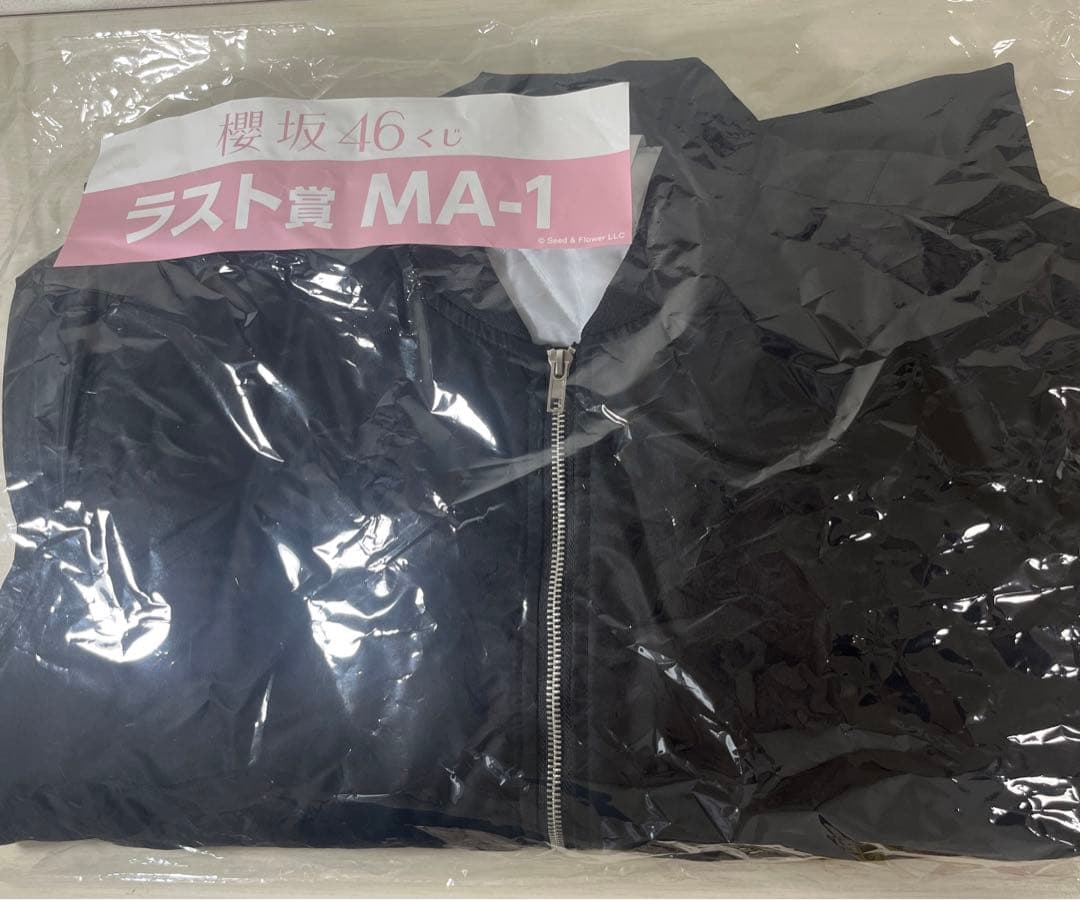 アイヌ仕様。Pro 有舌尖頭器 a 石器 サヌカイト 模写 原始人 アイヌ