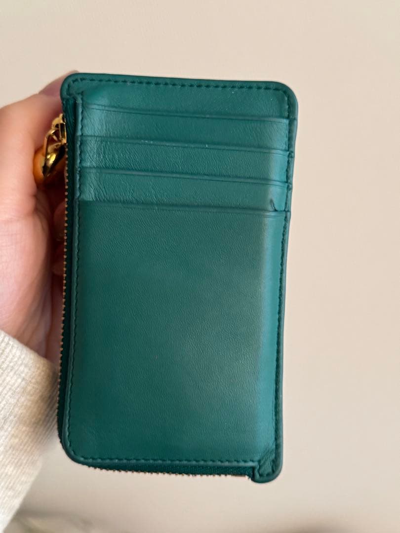 LOEWE グリーン レザー ケース