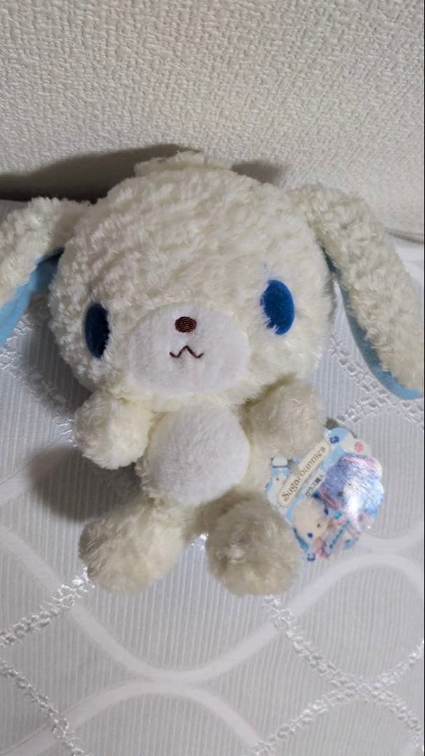 シュガーバニーズ あおみみうさ