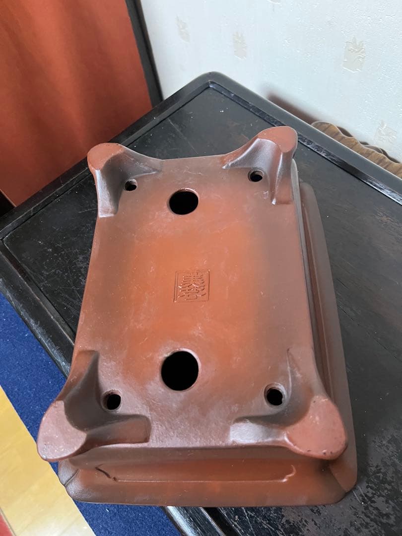 485 盆栽　盆栽鉢　植木鉢　和鉢　美芸