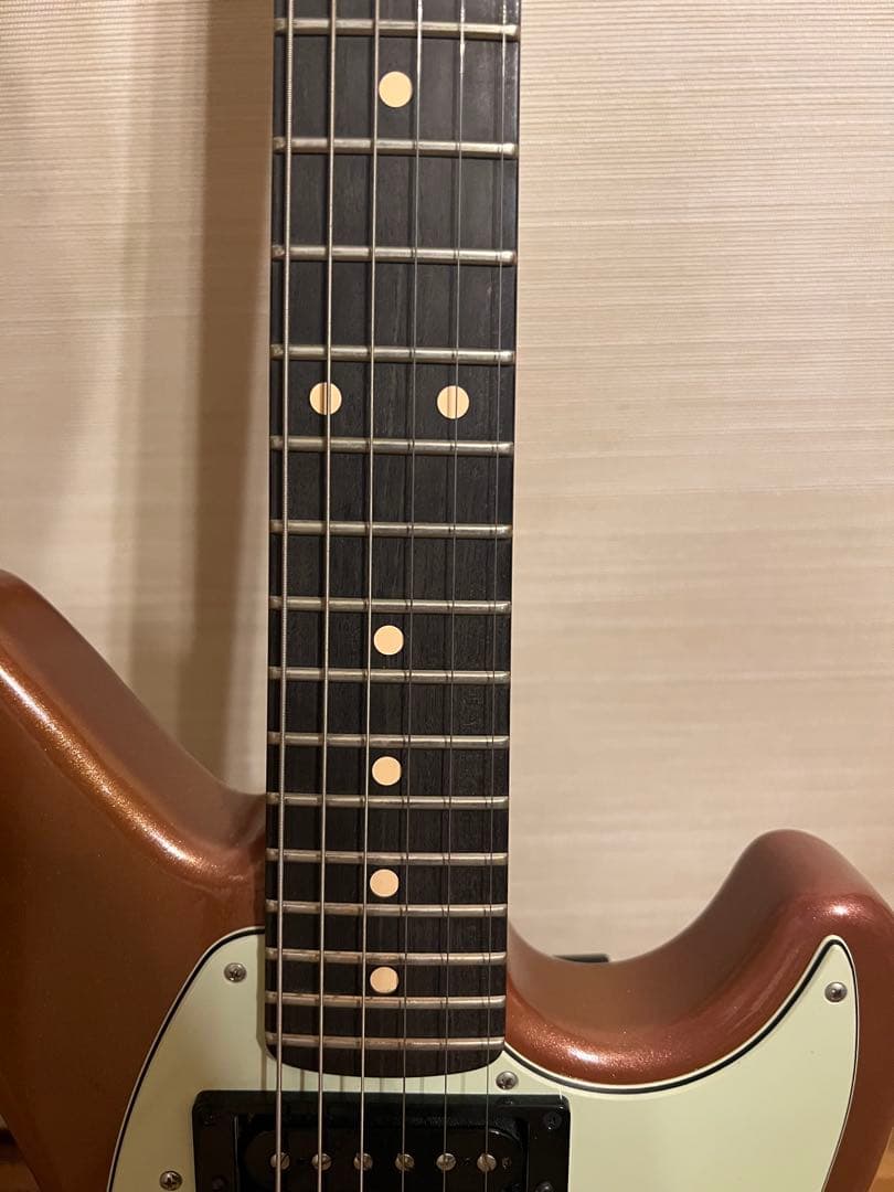 Warmoth × カルロス工房製 Jag-Stang カスタム