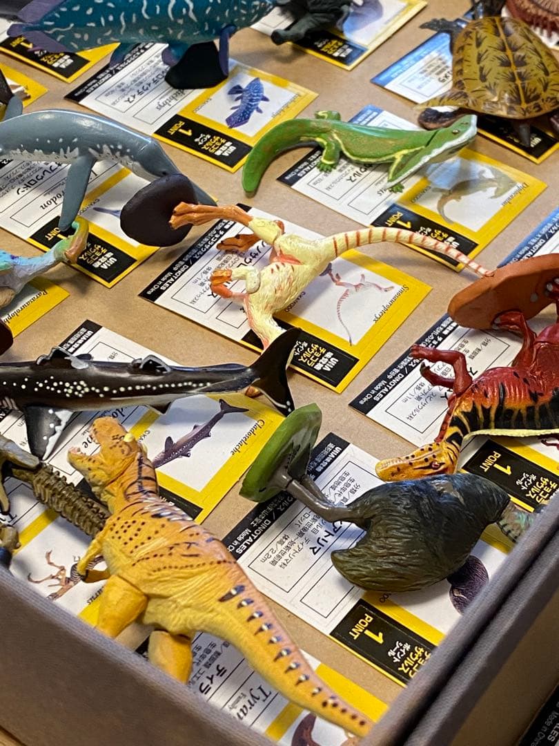 最終値下げ】チョコラザウルス 前期後期セット 51体 コンプリート 海洋