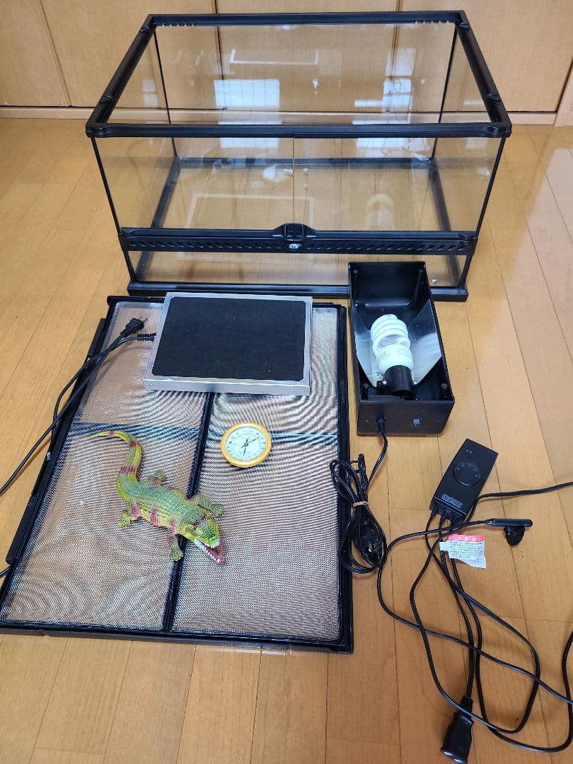 引き取り限定】GEXエキゾテラ グラステラリウム6045 飼育一式