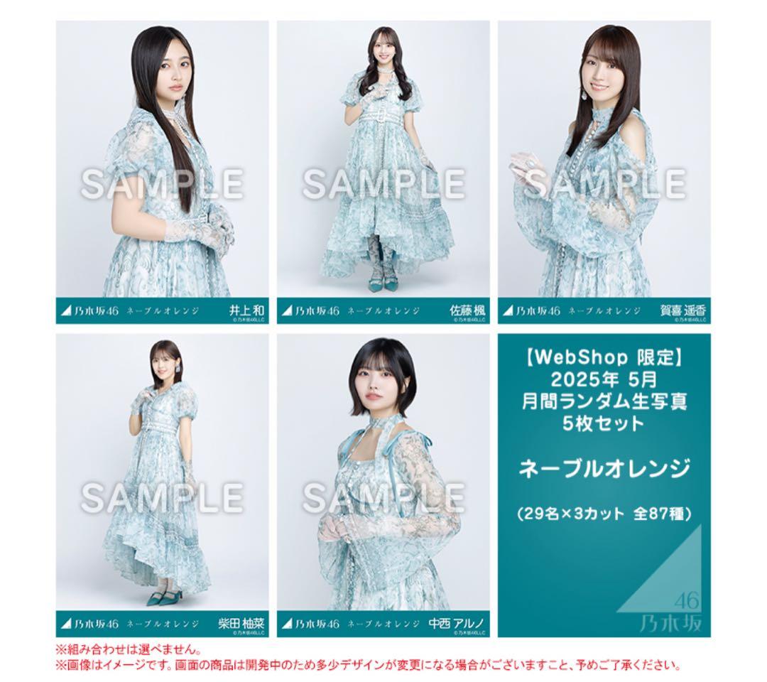 乃木坂46 生写真　ネーブルオレンジ　29名　フルコンプ　井上和　中西アルノ 乃木坂46 生写真 ネーブルオレンジ 29名 フルコンプ 井上和 中西アルノ