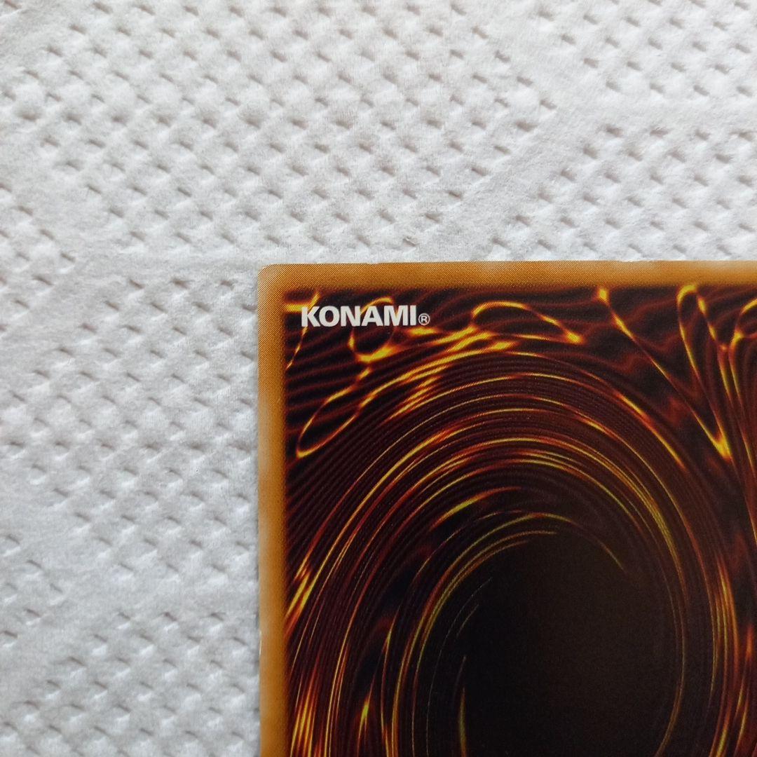 遊戯王カード　レッドアイズブラックドラゴン　レリーフ　301-056