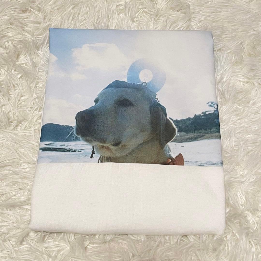 RADWIMPS 特別展 ジャケットTシャツ 無人島に持っていき忘れた一枚 M