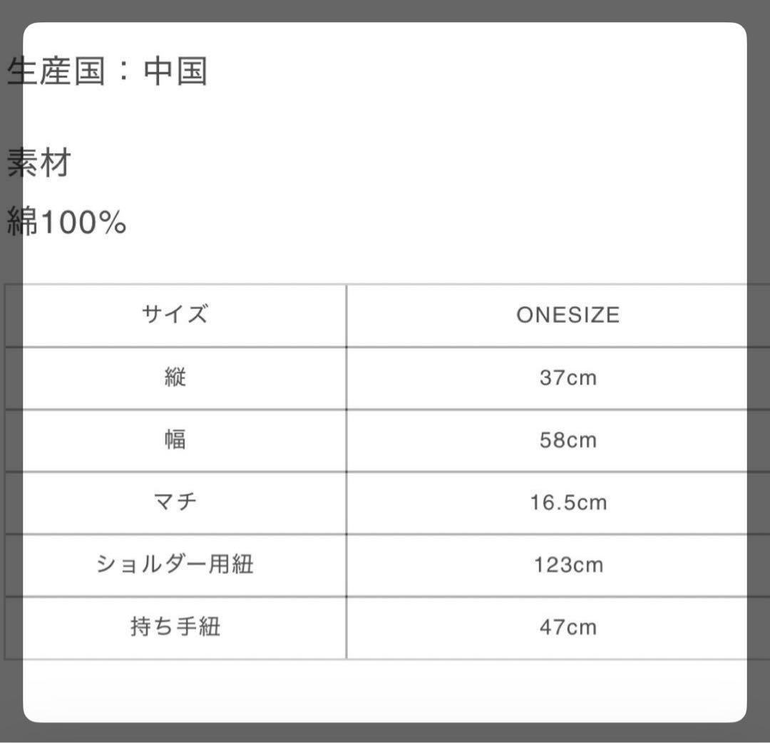 GOOD ONLY KNOWS ショルダー トート バッグ 岩田剛典