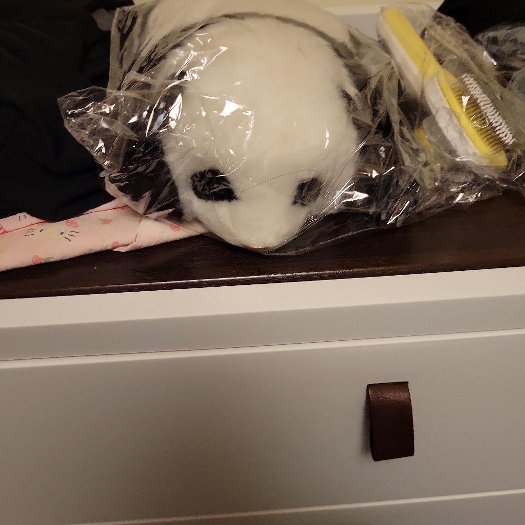 赤ちゃんパンダぬいぐるみセット