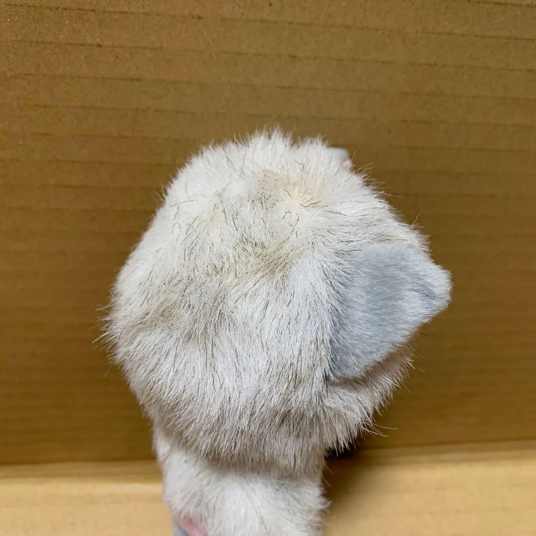 【希少】ベビチッチ　ベビチッチのおともだち　ネコのニャム