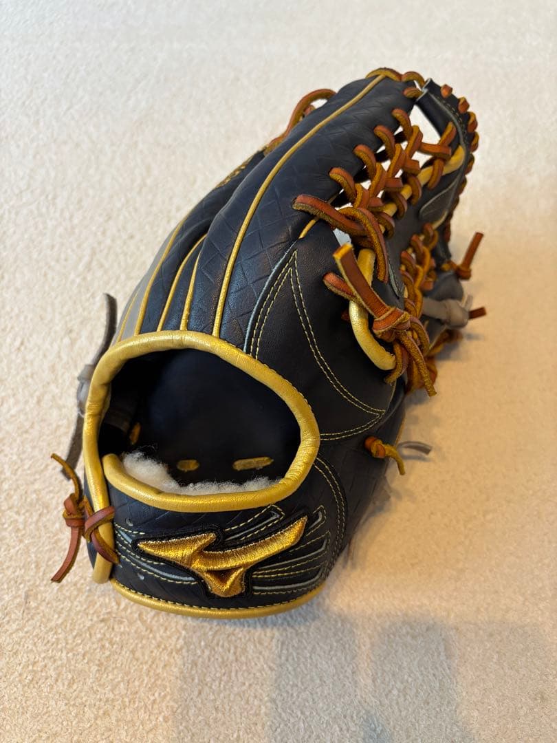 お手頃特大野生カブトムシ 標本79mm頭角幅16.4mm胸角幅4.5mm 超特大