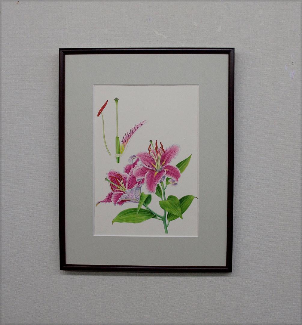 【絵画】ボタニカルアート　「かのこゆり」原画