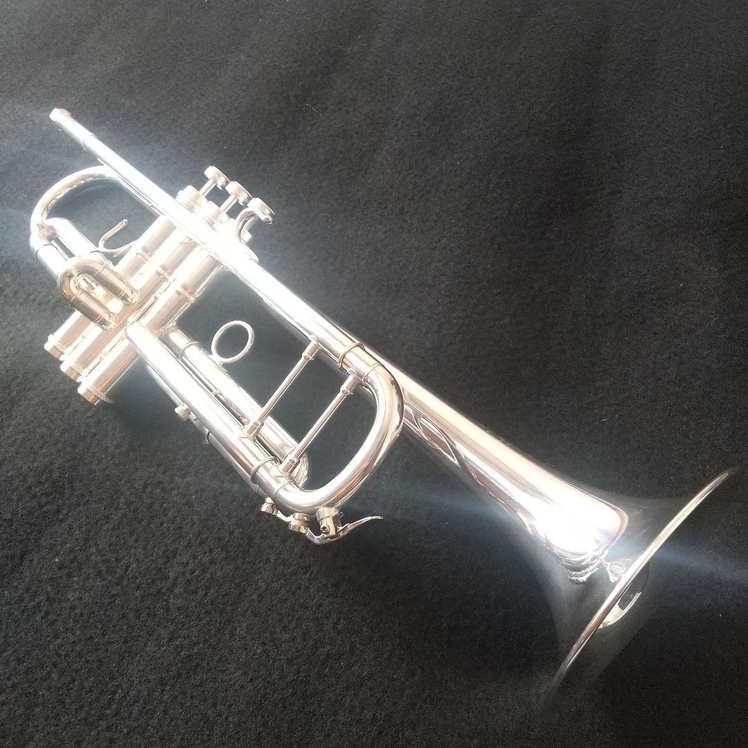 マルカートソフィアシリーズ。ヘビートリムキット付属