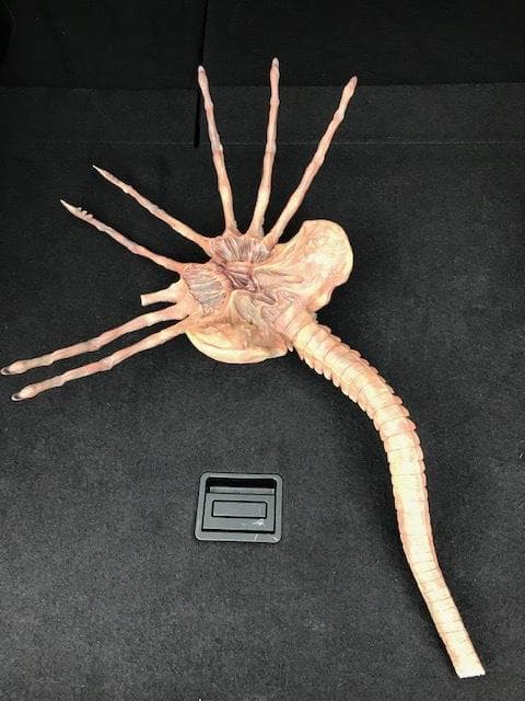 レア！クイーンフェイスハガー　1/1 組立塗装済み完成品　破損有り