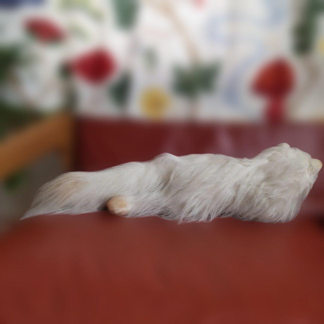 三英　ペルシャ猫　グレイスフル　長毛　日本製アクリル使用　70センチくらい　廃番