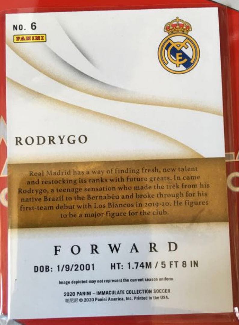 50シリ】Panini Immaculate／ロドリゴルーキーカード！