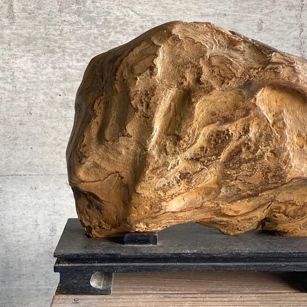 木化石 珪化木 天然 大型 置物 オブジェ 花器 フラワーベース 台座付