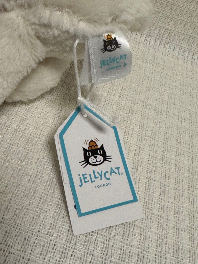 Bashful Bunny with Presentうさぎ 箱を持ったうさぎ