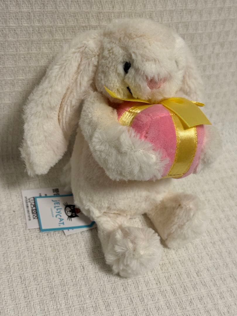 Bashful Bunny with Presentうさぎ 箱を持ったうさぎ