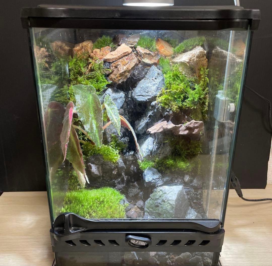 Kazkaty様専用】大きな滝のあるアクアテラリウム - メルカリ