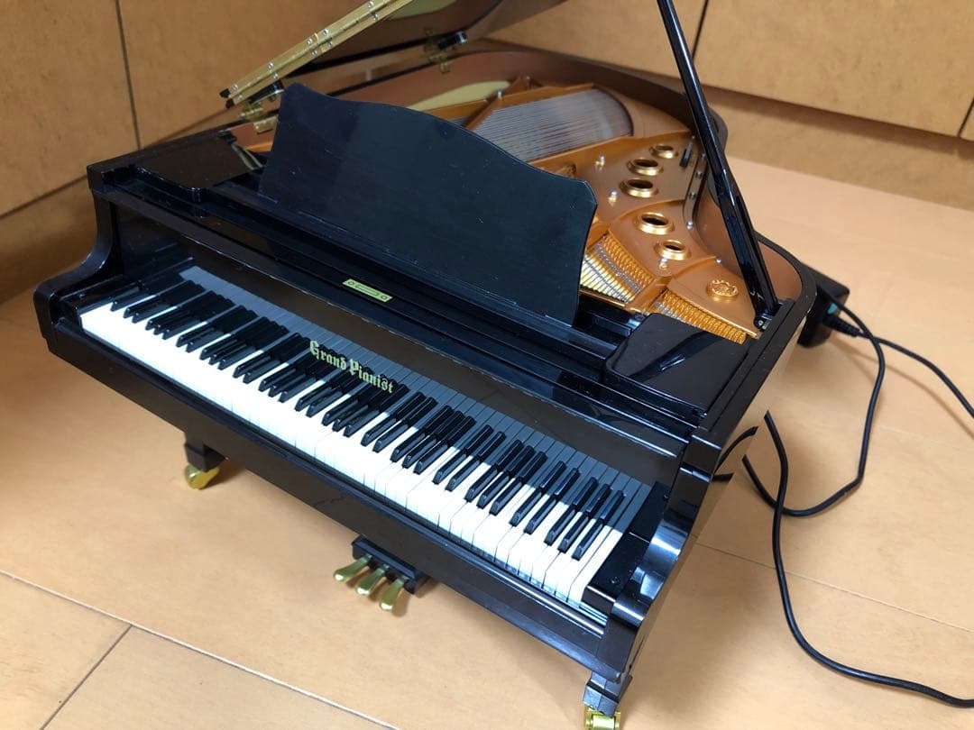 カッパ様専用Grand Piano 88鍵 ブラック セガトイズ