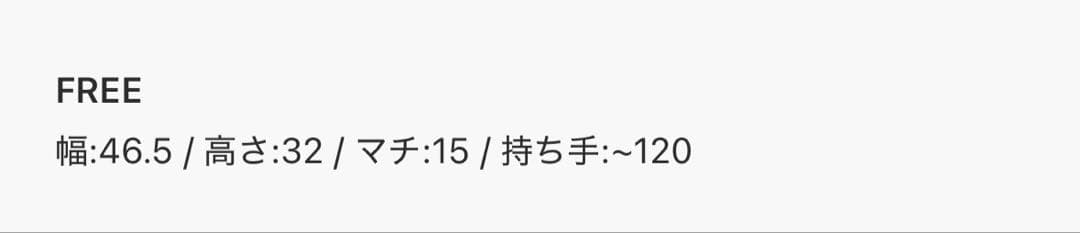 MAISON SPECIAL THEATRE PRODUCTS コラボバッグ