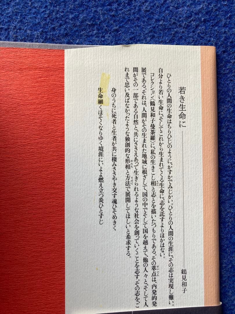 鶴見和子曼荼羅II 人の巻 日本人のライフ・ヒストリー