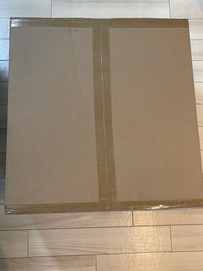 最安値☆輸送箱未開封 幻の究極造形 CCP 大山竜 ガメラ3