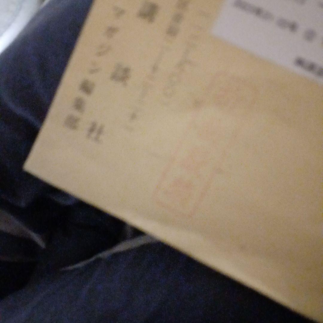 ヤングマガジン　藤本沙羅さん　 直筆サイン入りチェキ　抽プレ　送料込み