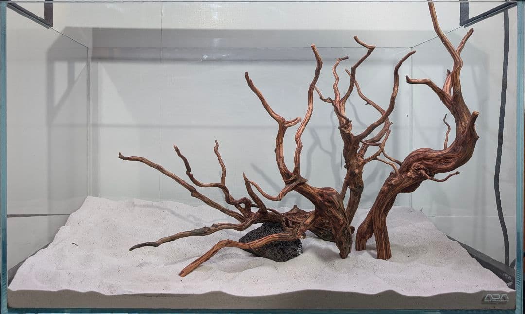 LSB003】スマトラウッド レイアウトセット 60cm水槽 アクアリウム