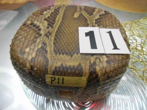 (送料無料)12.980円　沖縄三線専用　蛇皮強化チーガ、自作へ挑戦三点から選択