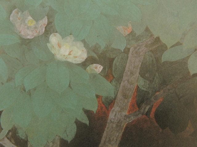 松本高明、【椿】、希少な額装用画集より、新品額装付、状態良好