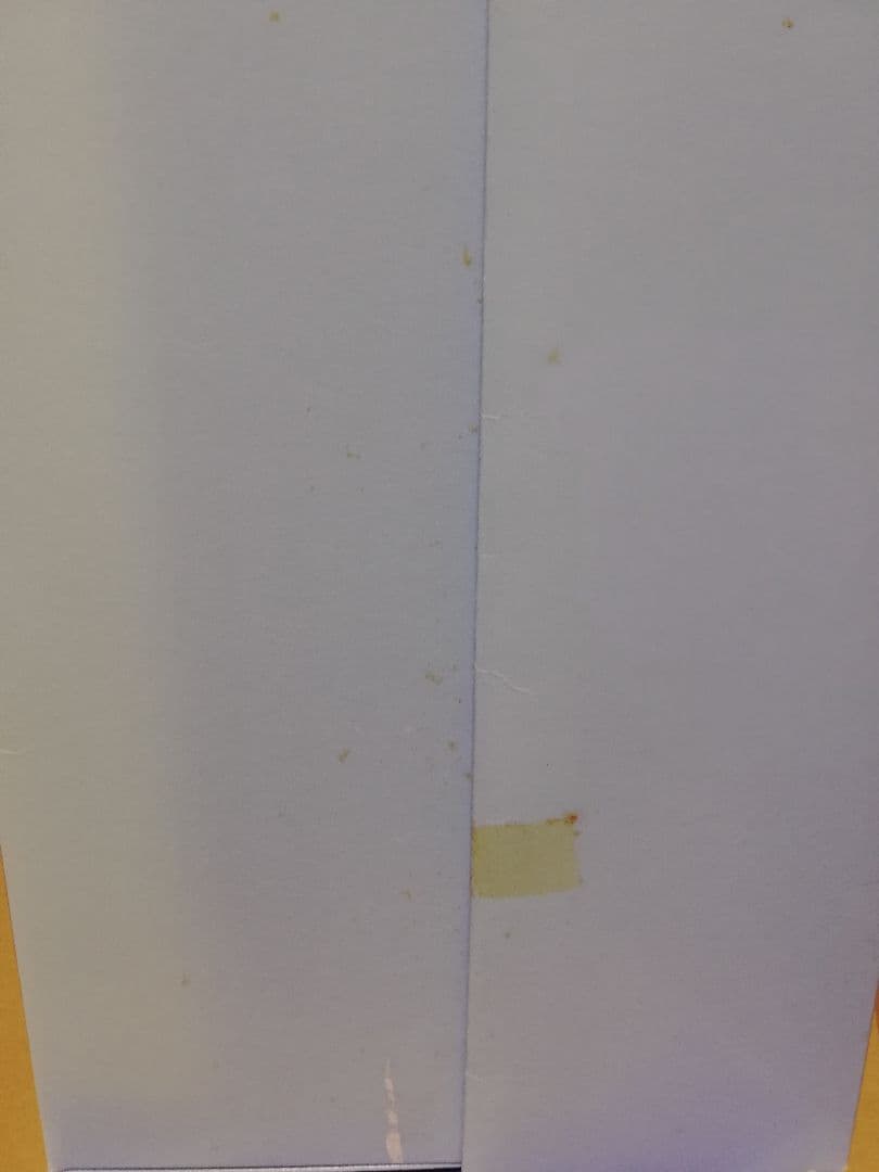 ハローキティ ぬいぐるみ 【vivitix 限定】 ウエディングドール