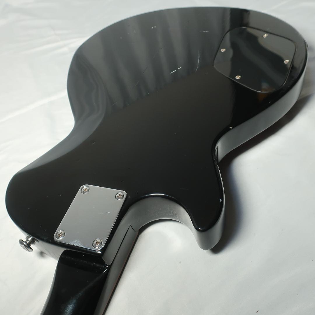 GrassRoots LUNA SEA INORANモデル エレキ ケース付