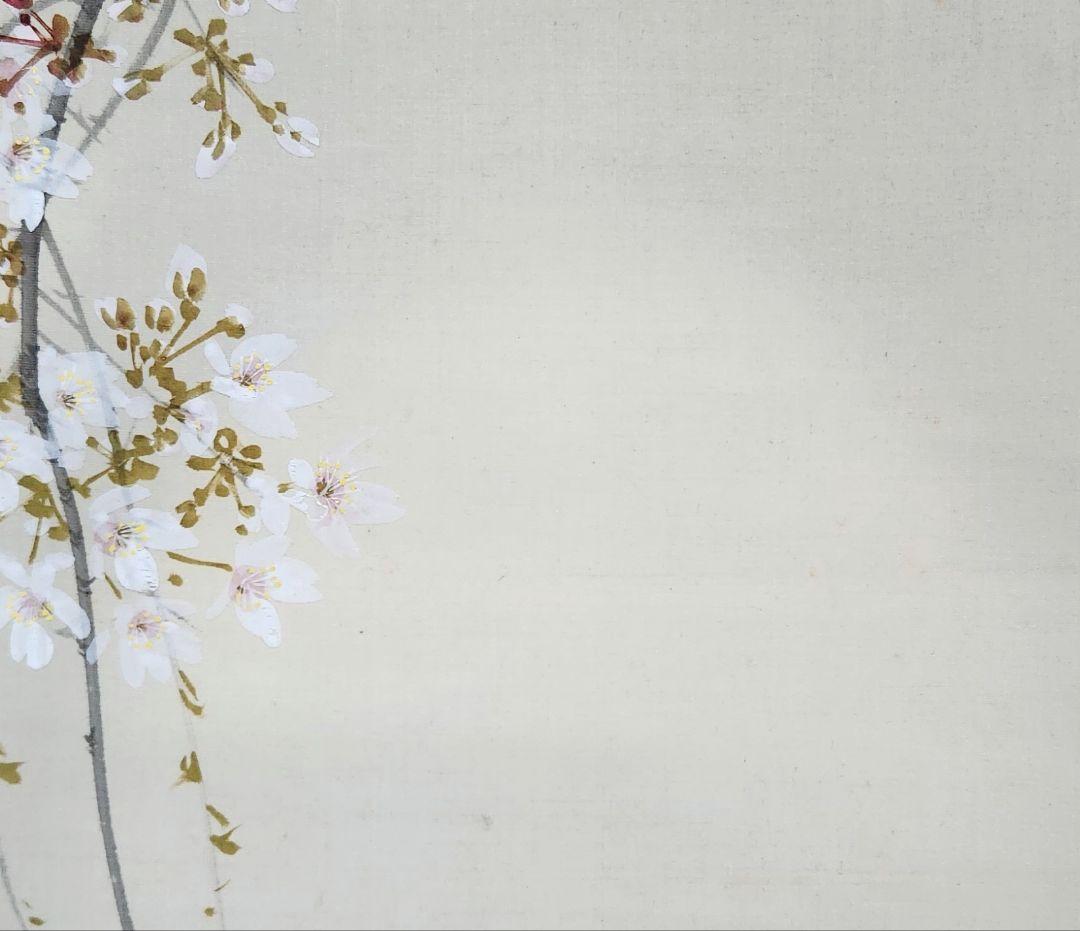 朧月夜桜図】今井景樹 2702 おぼろ月 さくら 共箱 肉筆 掛け軸