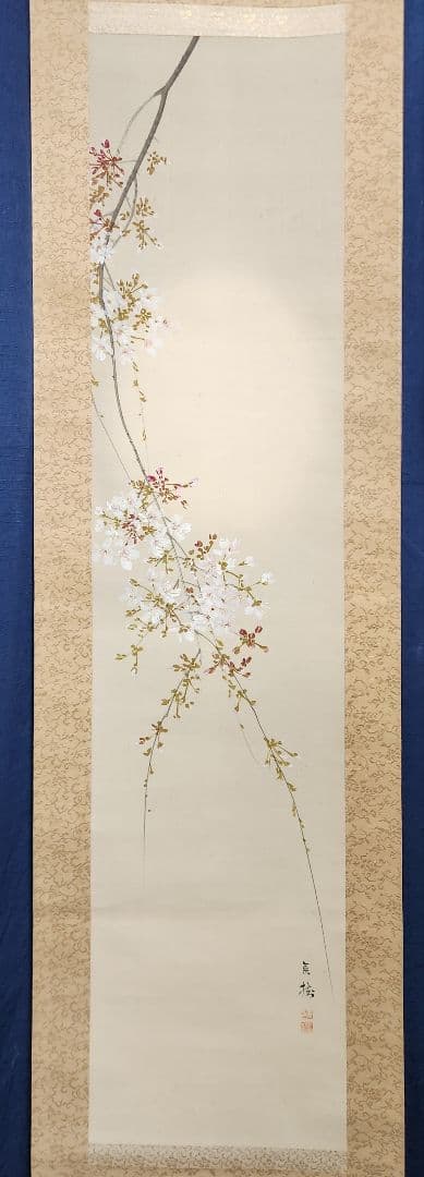 朧月夜桜図】今井景樹 2702 おぼろ月 さくら 共箱 肉筆 掛け軸