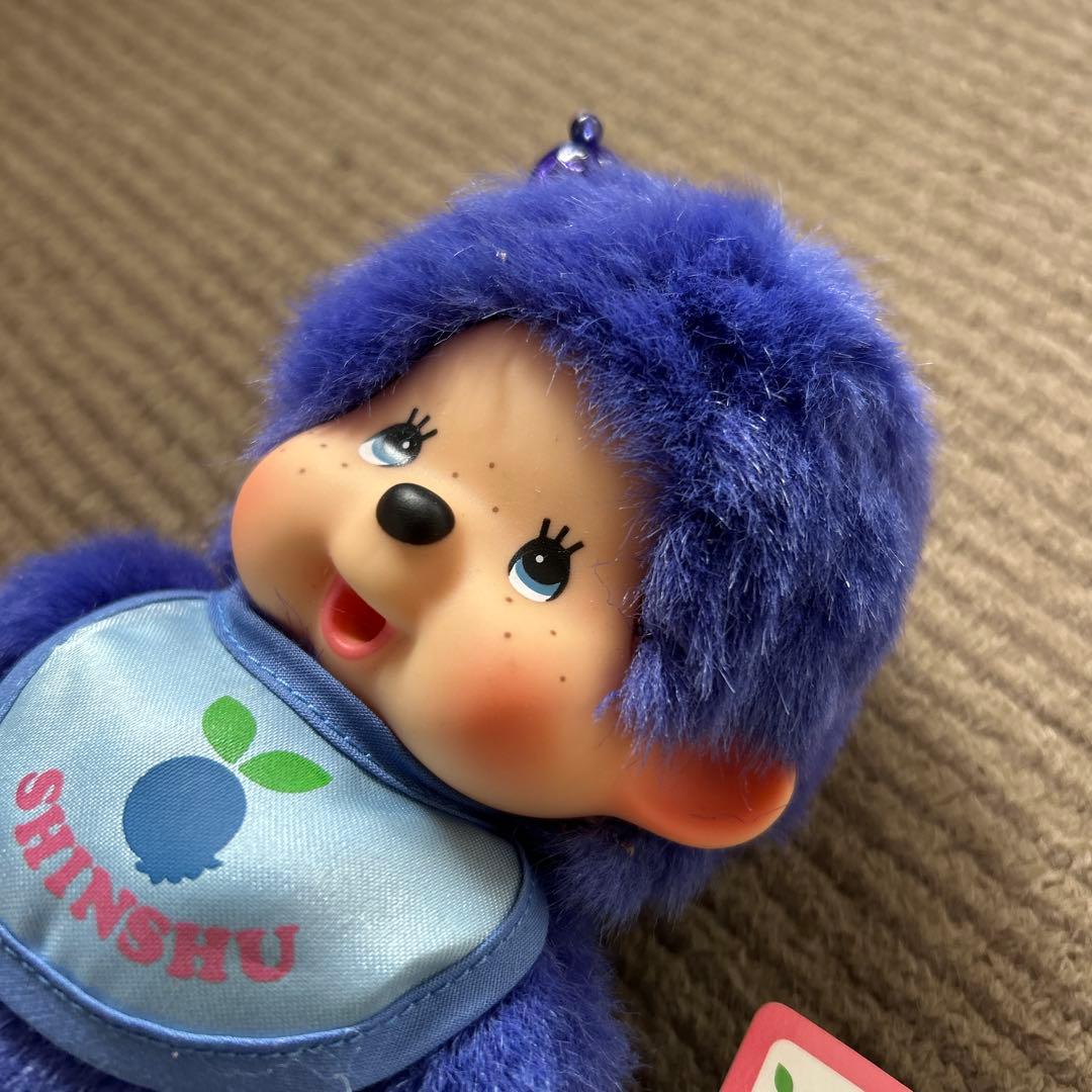 ご当地　信州限定　モンチッチ　未使用