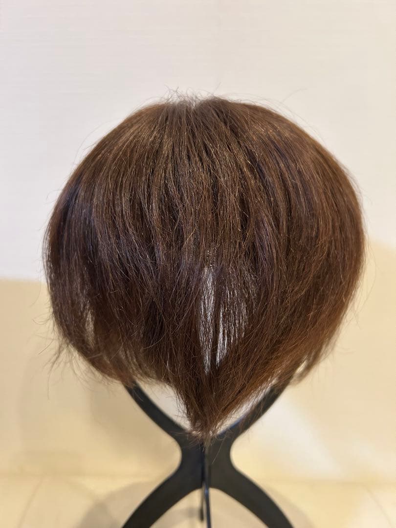 アクアドール６分ウィッグ　人毛100パーセント　ショート