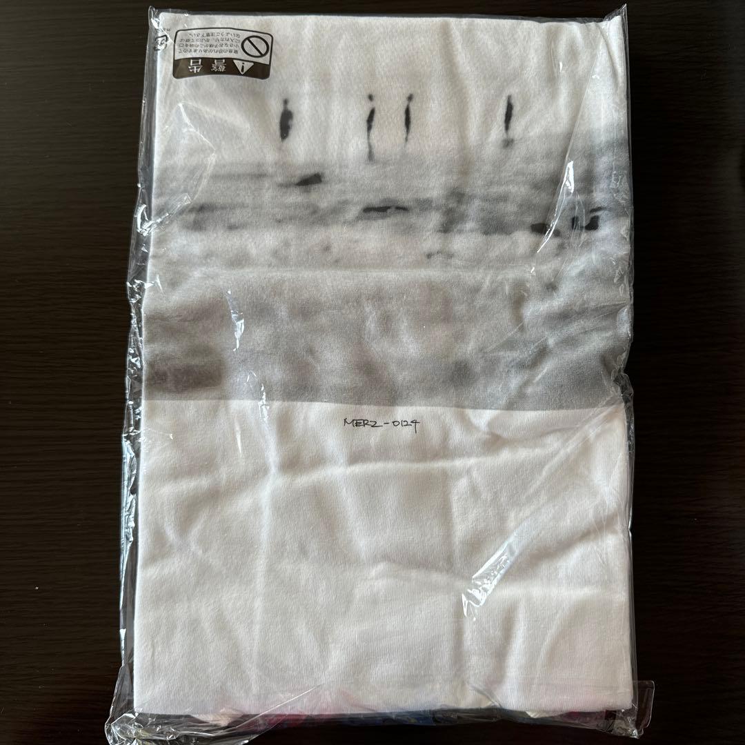 ミュージシャン THE NOVEMBERS