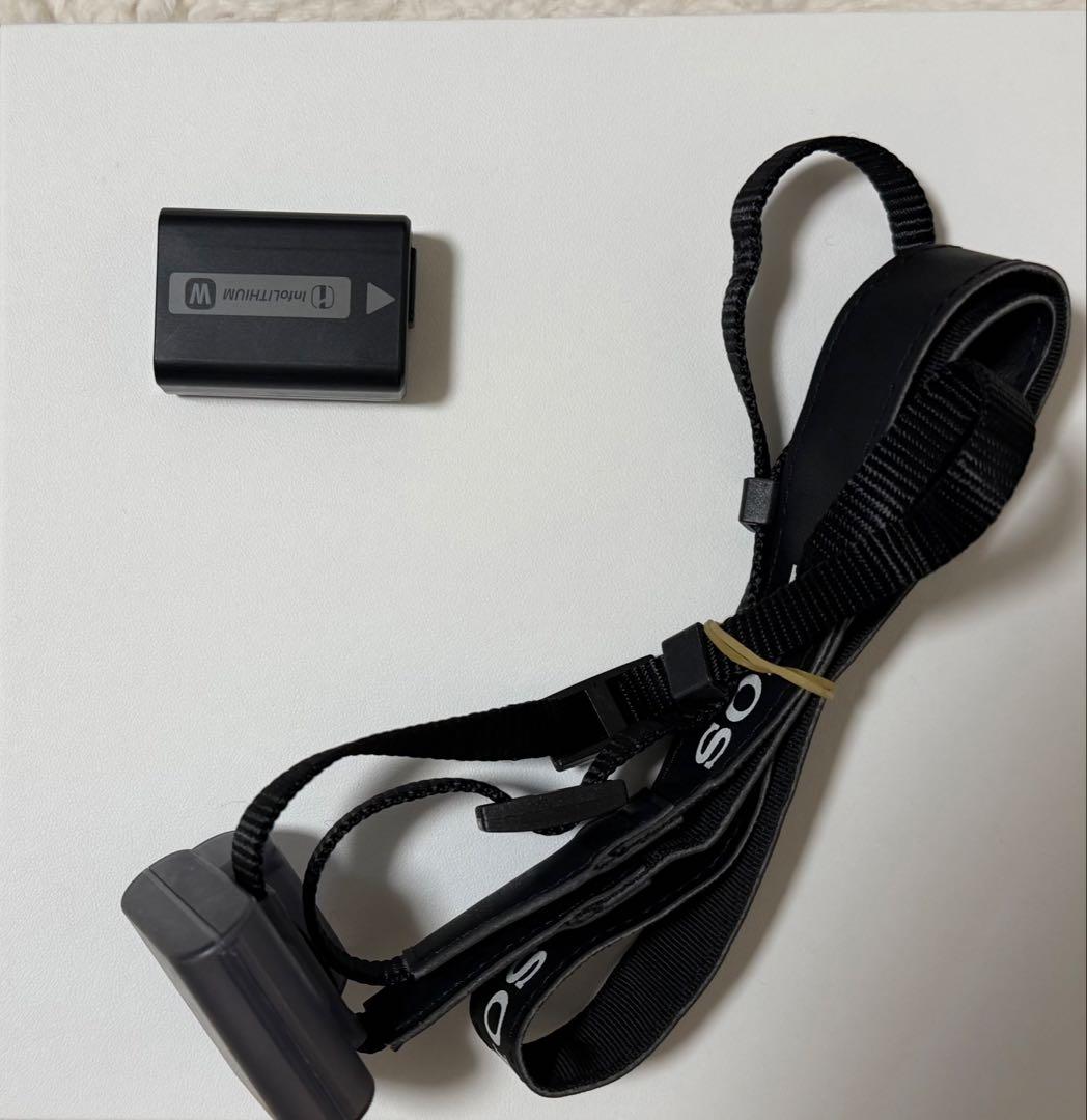 SONY NEX-5T ミラーレス一眼 SEL1855 mmレンズ付 動作品 - メルカリ