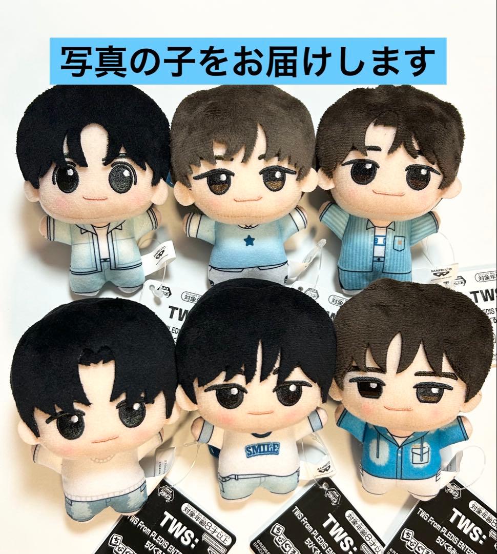 TWS From PLEDIS ENTERTAINMENT ちびぐるみ TWS From PLEDIS