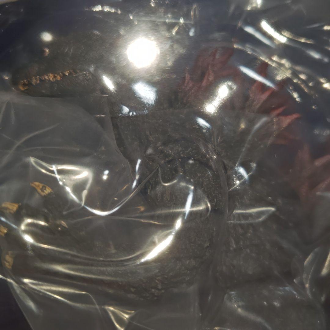 T*a様 未開封　S.H.MonsterArts　GODZILLA　2000
