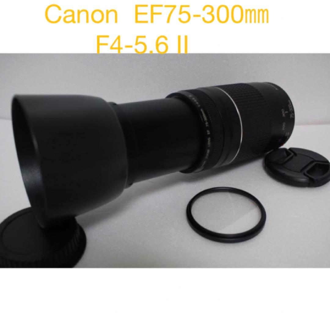デジタル一眼レフカメラCanon EF75-300㎜F4-5.6 II デジタル一眼レフカメラ CANON EF 75-300mm F4-5.6 II デジタル一眼