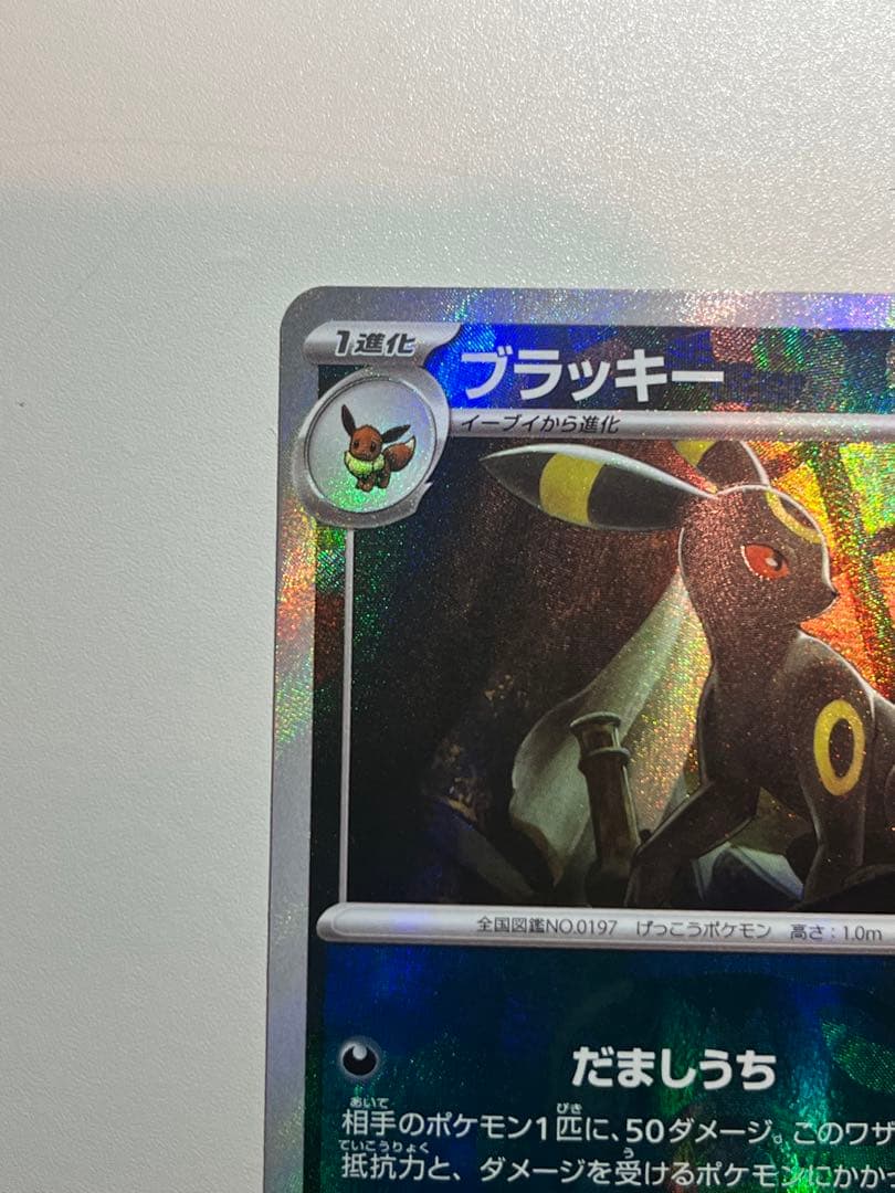 ブラッキー マスターボール　ミラー