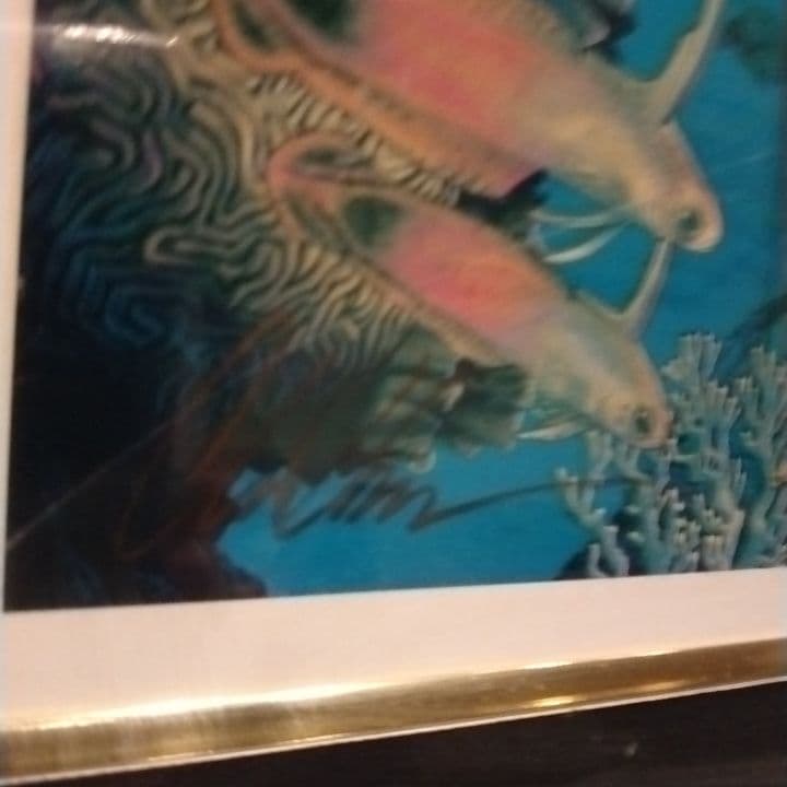 ★SALE★訳あり格安★本物です！★ラッセン★コスモス★65/225★送料込★