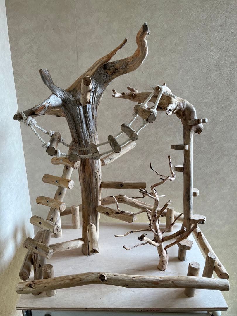 鳥インコ止まり木 流木バードアスレチック 壁掛けタイプバードジム壁