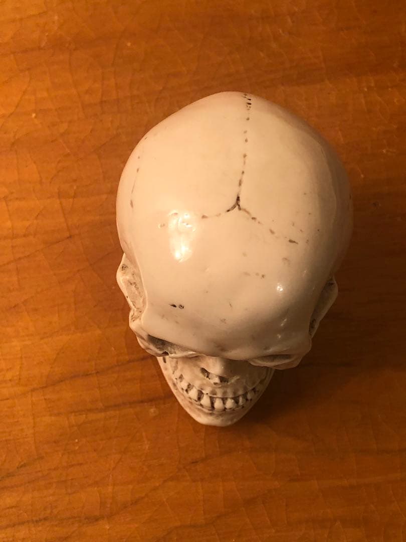 ビンテージ スカル 髑髏 骸骨 ネイバーフッド ミッドセンチュリー レトロ