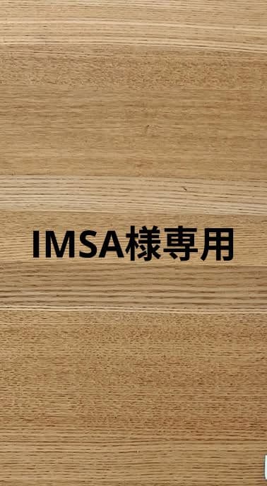 IMSA Nissan GTP ZX-Turbo IMSA Prototype Vintage Classic Race Car Photo