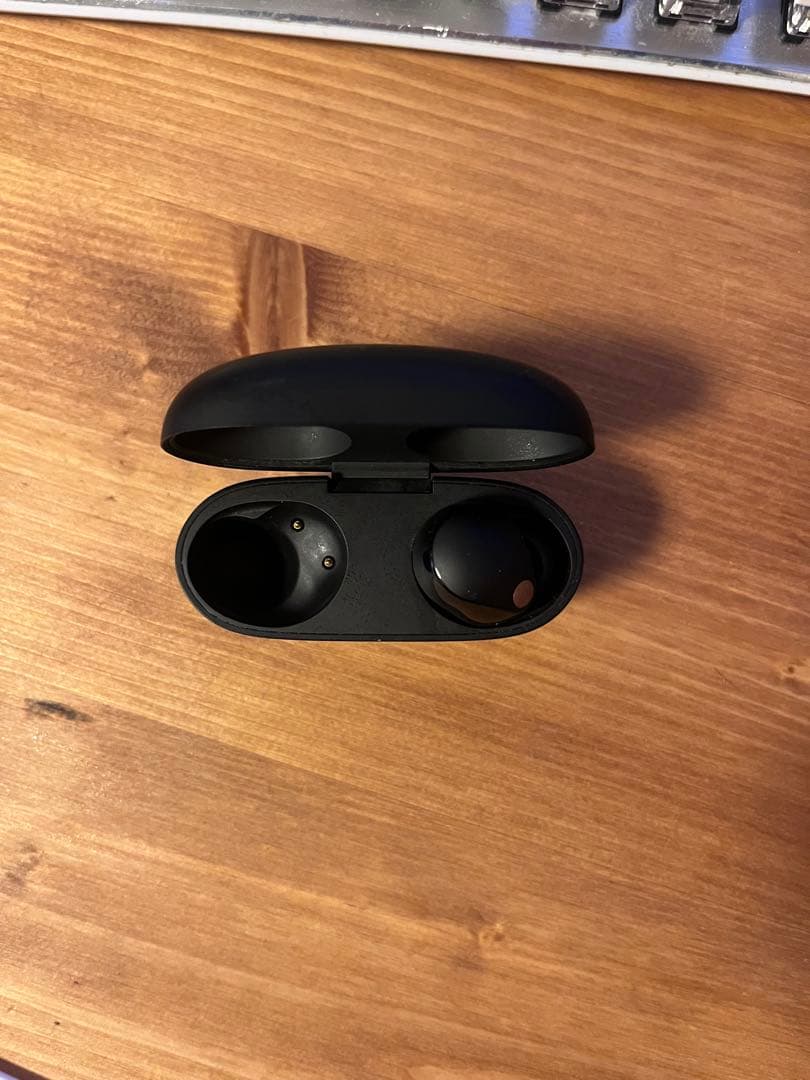 SONY WF-1000XM5 ケースと右耳のみ